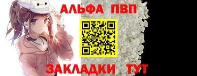 стаф Кингисепп