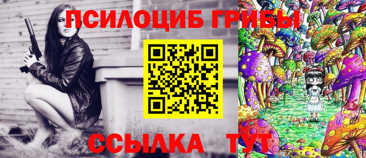 Галлюциногенные грибы Cubensis Курган